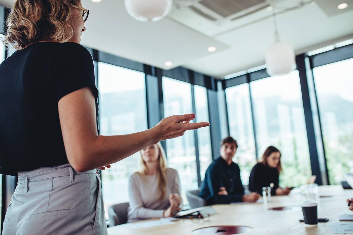 young businesswoman speaks to a table of colleagues